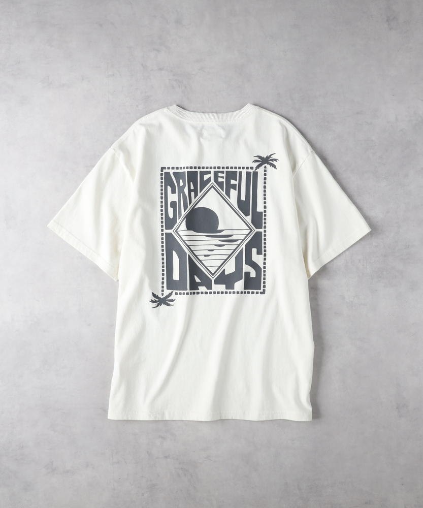 オゾン加工パームツリープリントTシャツ(M ホワイト): トップス