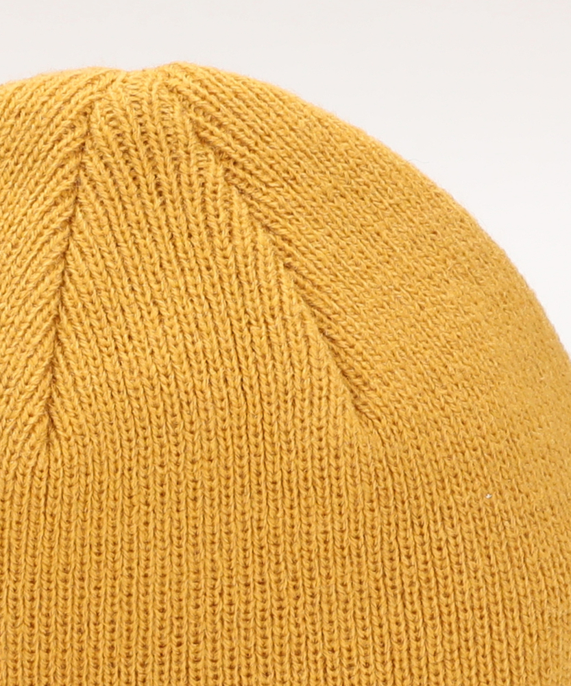 INVICTA インビクタ　ニット帽子（30年前のもの） Harley Davidson ロゴ ニットキャップ ニット帽子 HARLEY DAVIDSON